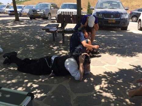 צילום: גיא ורון צילום: גיא ורון