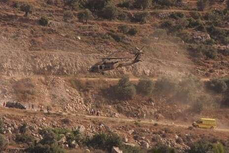 צילום: ידידיה אריאל, סוכנות תצפית צילום: ידידיה אריאל, סוכנות תצפית