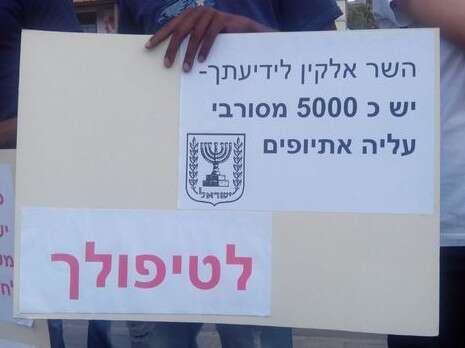 צילום: מנדי גרוזמן צילום: מנדי גרוזמן
