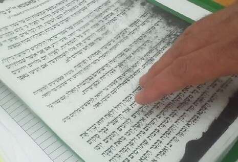 צילום: איציק וולף צילום: איציק וולף