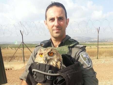צילום: חטיבת דובר המשטרה צילום: חטיבת דובר המשטרה