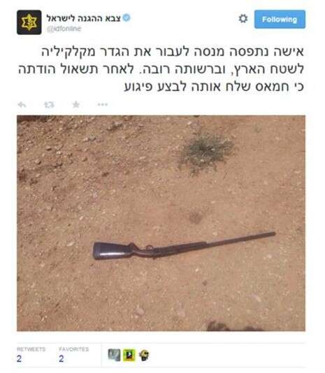 צילום מסך: מתוך טוויטר צילום מסך: מתוך טוויטר