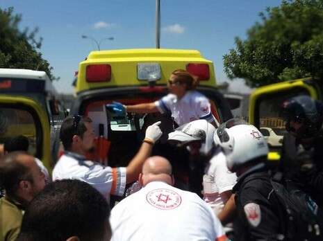 צילום: דוברות מרחב ירושלים צילום: דוברות מרחב ירושלים