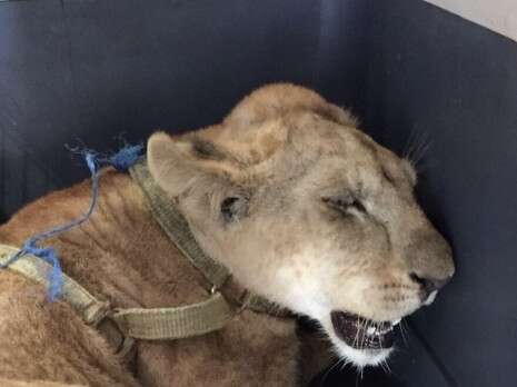 צילום: רשות המעברים במשרד הביטחון צילום: רשות המעברים במשרד הביטחון