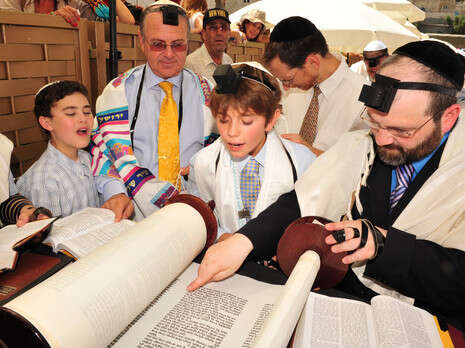 צילום: שאטרסטוק צילום: שאטרסטוק
