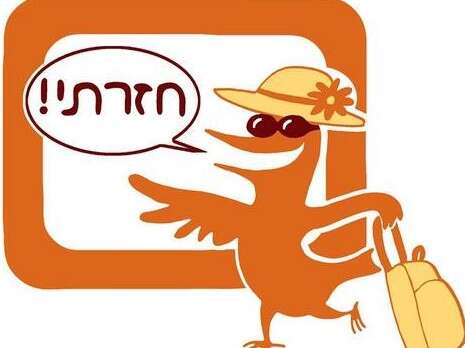 צילום: מוך פייסבוק צילום: מוך פייסבוק