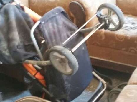 צילום: גל ברגר צילום: גל ברגר