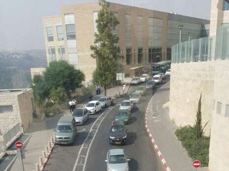 צילום: מאשה נטפובה צילום: מאשה נטפובה