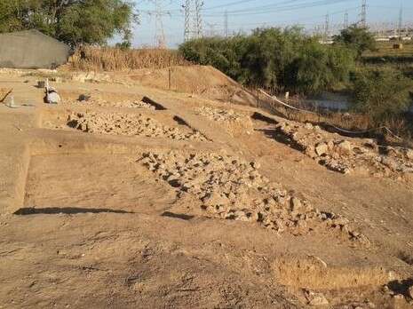 צילום: אהרן מאיר צילום: אהרן מאיר