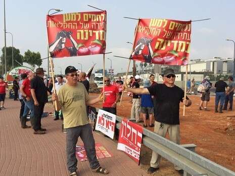 צילום: רינת רוזנברג, מועצה איזורית ערבה תיכונה צילום: רינת רוזנברג, מועצה איזורית ערבה תיכונה