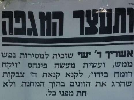 צילום: יעקב לדרמן צילום: יעקב לדרמן