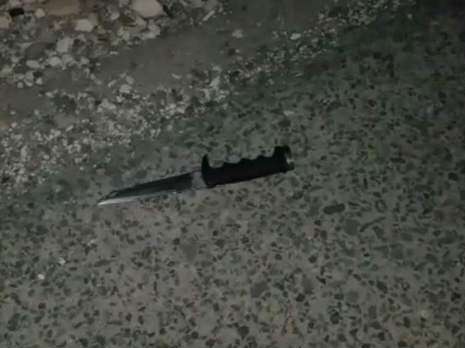 צילום: צילום מסך דוברות המשטרה צילום: צילום מסך דוברות המשטרה