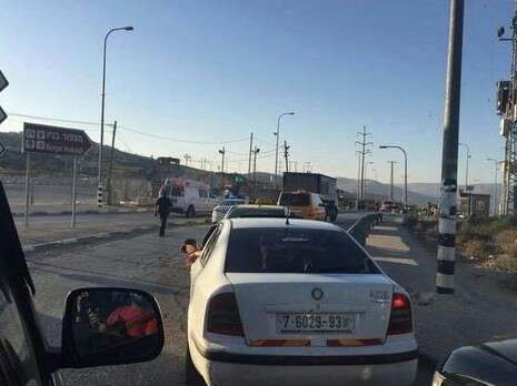 צילום: חטיבת דובר המשטרה צילום: חטיבת דובר המשטרה