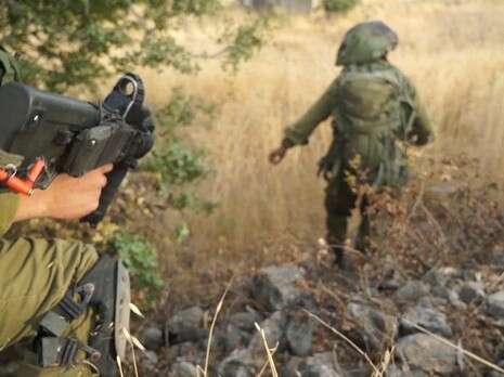 צילום: דו''צ צילום: דו''צ