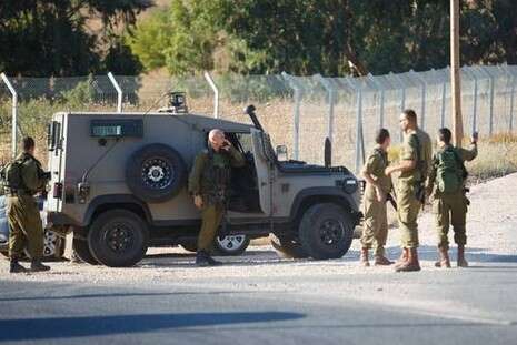 צילום: אנצ'ו גוש ג'יני צילום: אנצ'ו גוש ג'יני