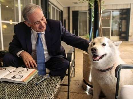 צילום: באדיבות המשפחה צילום: באדיבות המשפחה