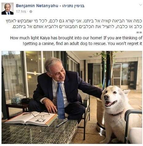 צילום מסך צילום מסך