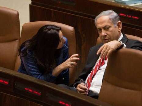 צילום: נעם ריבקין צילום: נעם ריבקין