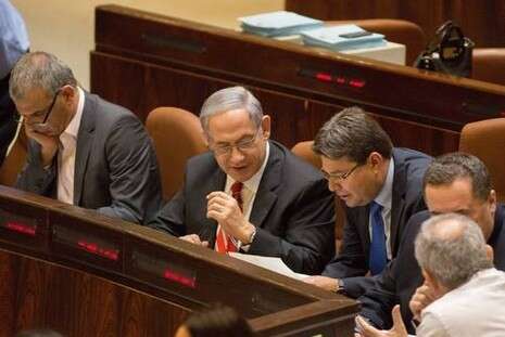 צילום: נעם ריבקין צילום: נעם ריבקין
