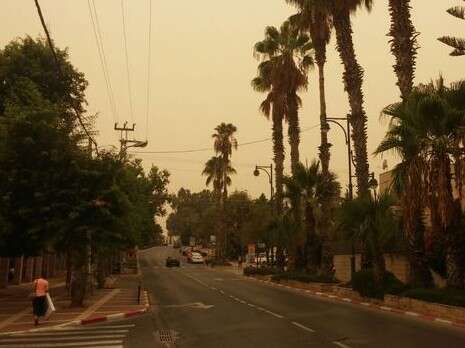 צילום: יואב פרידמן צילום: יואב פרידמן