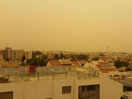 צילום: אלי ברק צילום: אלי ברק