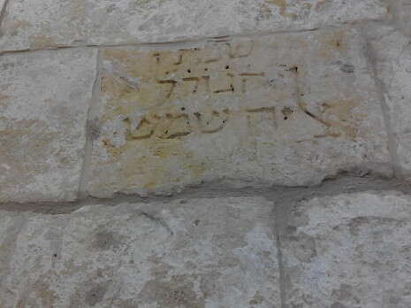 צילום: דליה מזורי צילום: דליה מזורי