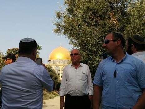 צילום: ארנון סגל צילום: ארנון סגל