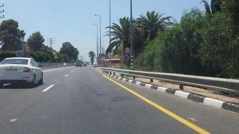 �����: ��� ����