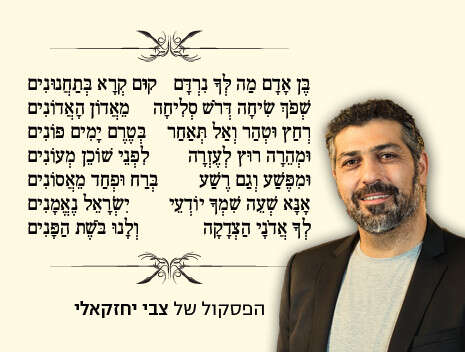 עיבוד גרפי: הילה גנץ עיבוד גרפי: הילה גנץ