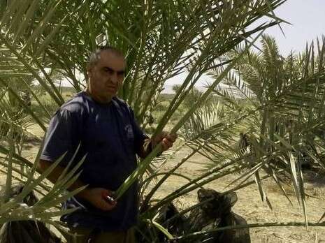צילום: אלישבע דיסין צילום: אלישבע דיסין