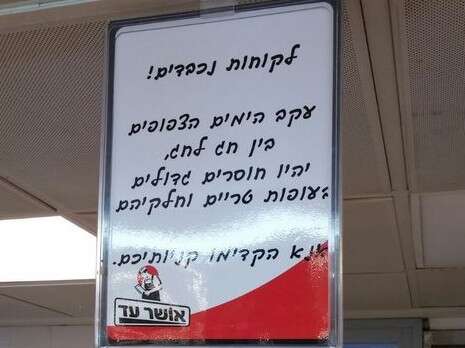 צילום: דידי פרנקל צילום: דידי פרנקל
