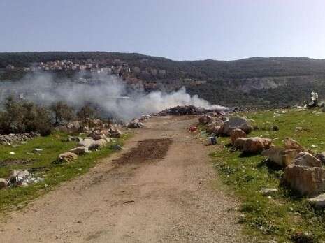 צילום: אזרחים למען הסביבה צילום: אזרחים למען הסביבה