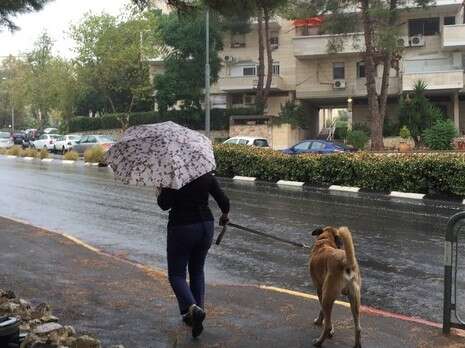 צילום: אופיר דוד צילום: אופיר דוד