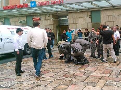 צילום: מרים צחי צילום: מרים צחי