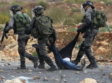 צילום: AFP צילום: AFP