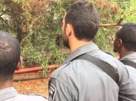 צילום: דוברות המשטרה צילום: דוברות המשטרה