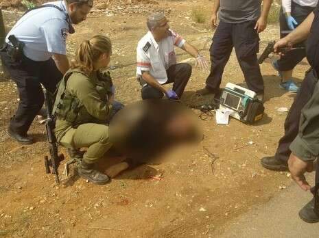 צילום: משה בוטביה - TPS צילום: משה בוטביה - TPS
