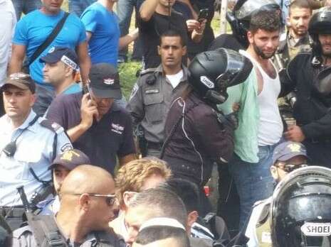 צילום: אריק אבולוף צילום: אריק אבולוף