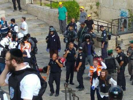 צילום: דוברות מד''א צילום: דוברות מד''א