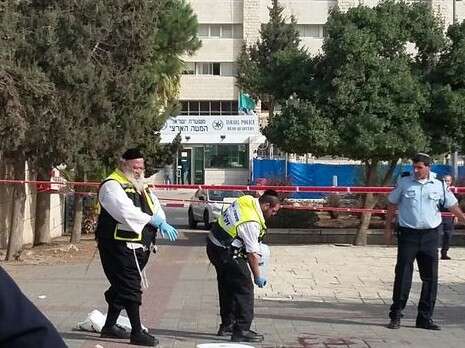 צילום: ירון דורון צילום: ירון דורון