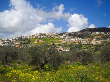 צילום: שריף עסאקלה צילום: שריף עסאקלה