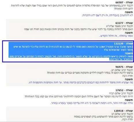 צילום מסך צילום מסך