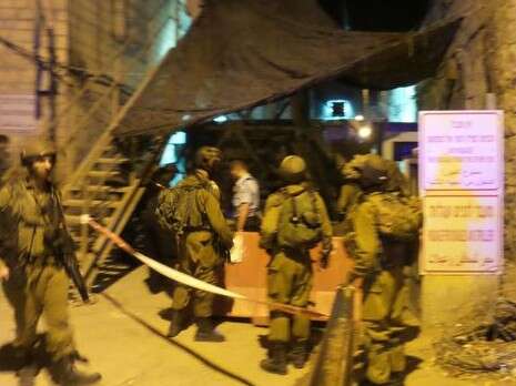 צילום: ציפי שליסלTPS צילום: ציפי שליסלTPS