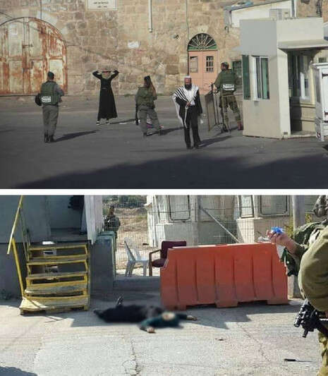 צילום: צילום מסך צילום: צילום מסך