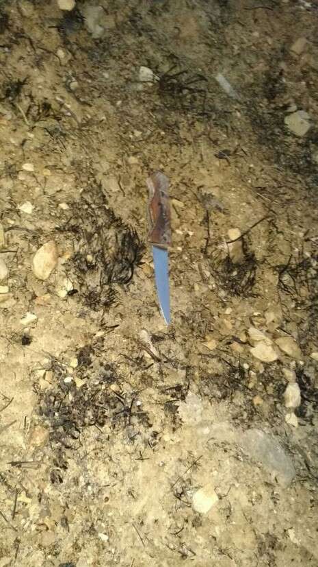 צילום: הצלה יו''ש צילום: הצלה יו''ש