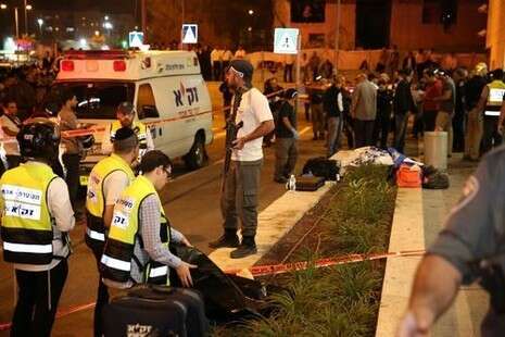 צילום: מירי צחי צילום: מירי צחי