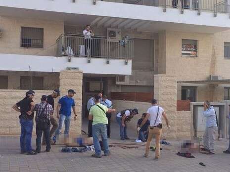 צילום: יעקב לדרמן צילום: יעקב לדרמן