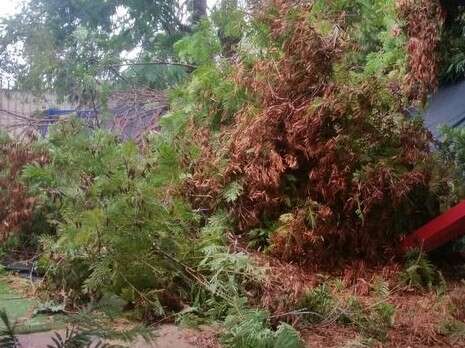 צילום: צור יגאל, באדיבות המועצה צילום: צור יגאל, באדיבות המועצה