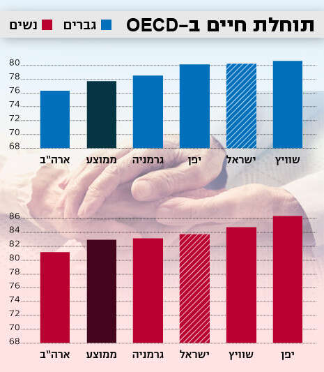 צילום: שאטרסטוק צילום: שאטרסטוק