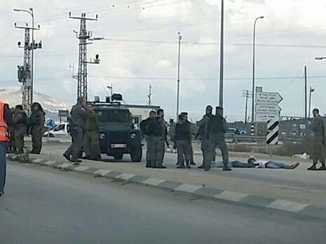צילום: דוברות איחוד הצלה שומרון צילום: דוברות איחוד הצלה שומרון